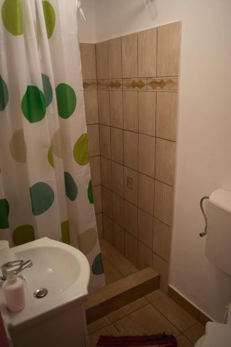 a bathroom with a shower with a sink and a toilet at Casa Ana in Biertan
