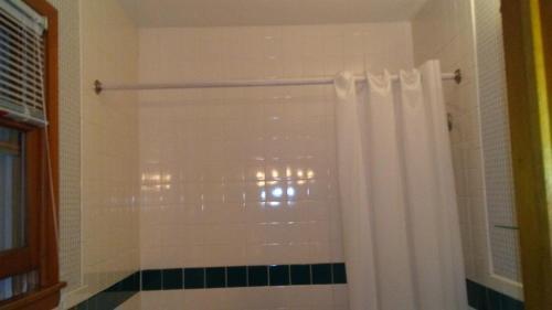 a shower with a white shower curtain in a bathroom at Catskill Motor Court in Catskill