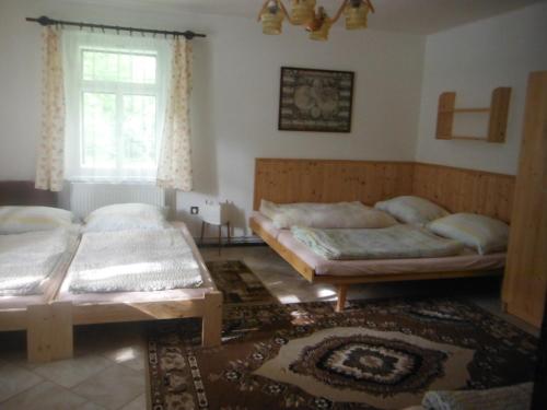 a bedroom with two beds and a window at Chalupa U Pilota in Králíky