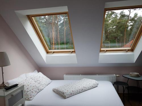 a bedroom with two windows and a white bed at Willa Reverans in Borne Sulinowo