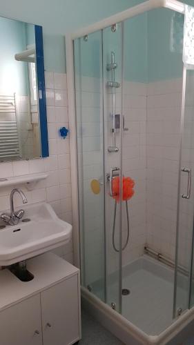 une salle de bain avec douche et lavabo dans l'établissement La basse, à Saint-Remèze