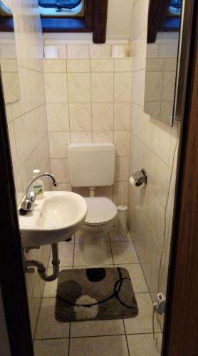 a bathroom with a toilet and a sink at Waldeck in Frankenau