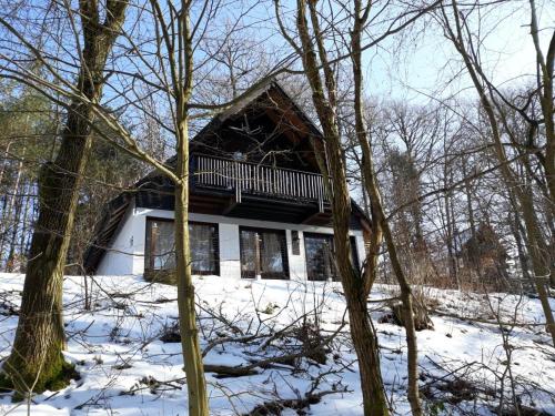 a house in the snow with trees in front of it at Waldeck in Frankenau