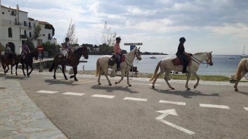 
Horseback riding at the apartment or nearby
