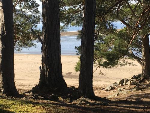 a group of trees in front of a beach at Netherwood House in Newtonmore