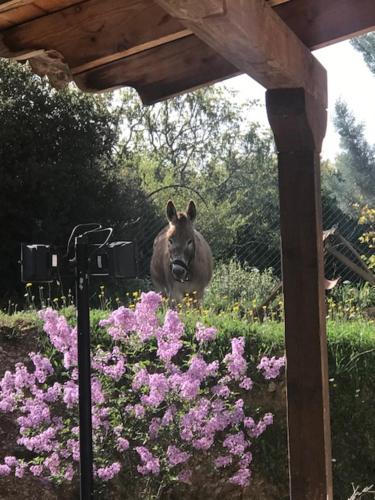 エリニコンにあるRocabella Hellinikon Country Hotelのギャラリーの写真