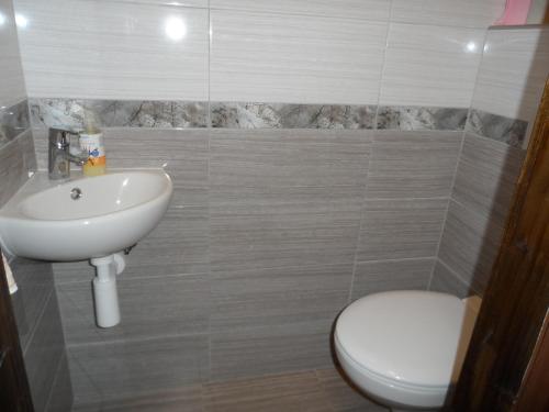 a bathroom with a sink and a toilet at Верховинська Хата in Izki