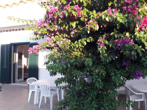 Casa Rosy – Photos 3