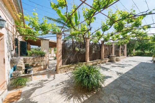 Taman di luar Finca - Agroturisme Sa Parellada