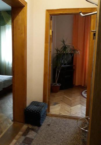 a mirror reflection of a room with a plant at Сонячна in Truskavets
