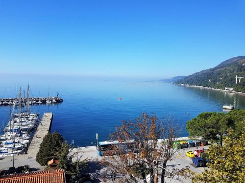 a view of a marina with boats in the water at Hotel Mignon in Trieste