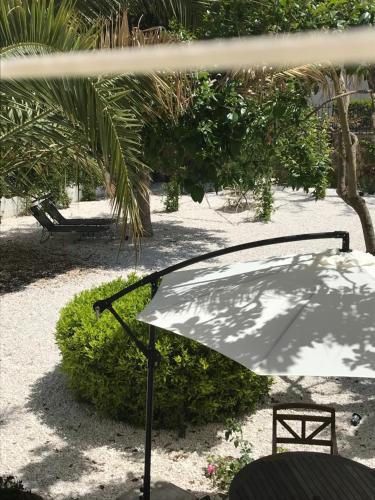 a table with an umbrella in a park at Giardini 82 B&B in Gravina in Puglia