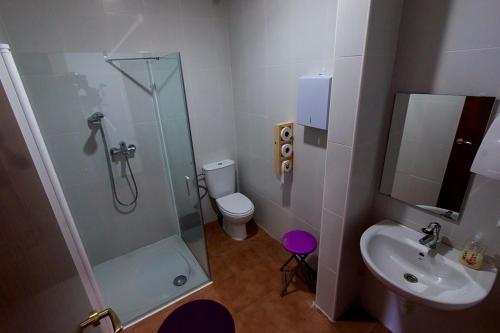 a bathroom with a shower and a toilet and a sink at Albergue Turístico Tierras Altas in Fuentes de Magaña