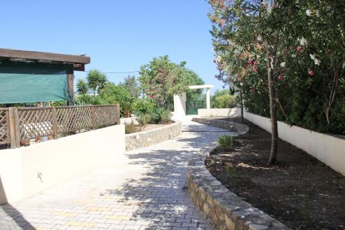 a cobblestone walkway next to a wall with a tree at Athina in Kiotari