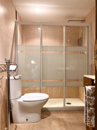 a bathroom with a toilet and a shower at Mundo-Abeona in Tudela
