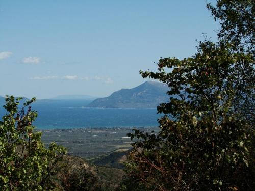 a view of the ocean from between two trees at Zeus-Village οικισμός φινλανδικών chalet με πισίνες & γυμναστήριο in Mólos