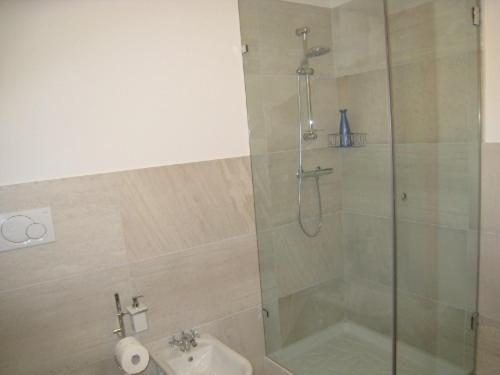 W łazience znajduje się prysznic, toaleta i umywalka. w obiekcie Sillia Appartamenti w mieście Pinzolo
