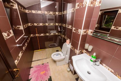 a small bathroom with a toilet and a sink at Casa Andrei in Orşova