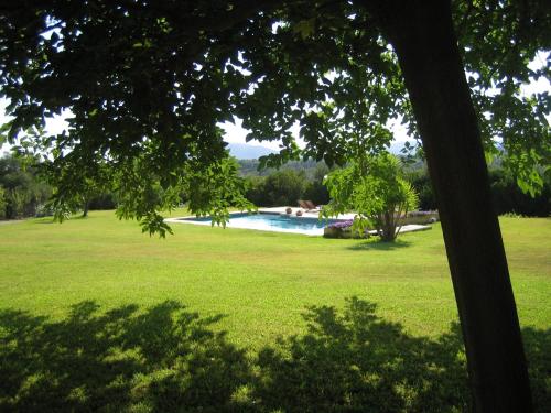 a swimming pool in a field with a tree at Finca Son Blat in Porto Cristo