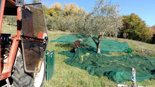 Φωτογραφία από το άλμπουμ του Fienile Vignanova σε Gerfalco