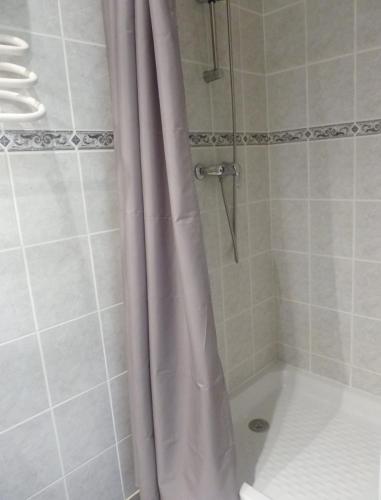 a shower with a shower curtain in a bathroom at Appart'Hôtel Les Rochers in Auriol