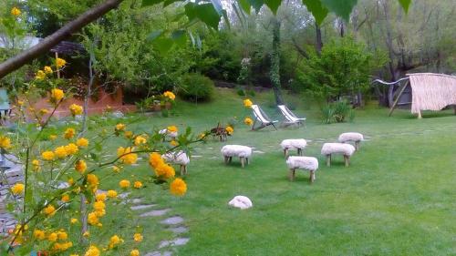 a herd of sheep grazing in a yard at Omaya Eco Village in Gaytaninovo