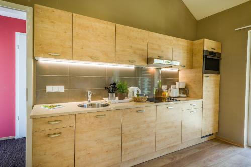 Dapur atau dapur kecil di Center Parcs Park Allgäu