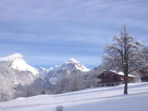 Chalet des Cascades – Photos 4