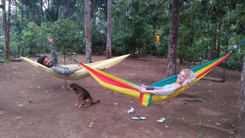 a man and a woman laying in hammocks with a dog at ESA di Kubu Homestay in Singaraja