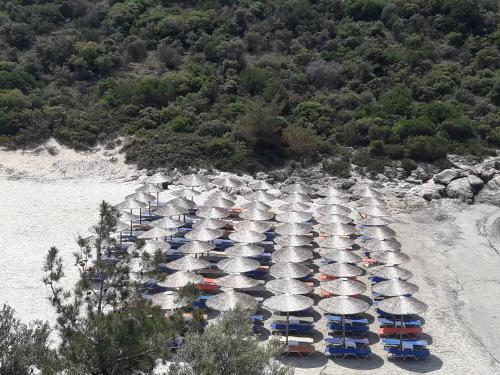Φυσικό τοπίο κοντά σε αυτό το διαμέρισμα