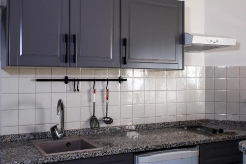 - une cuisine avec des placards gris et un évier dans l'établissement Koi Seaview apartment, à Herceg-Novi
