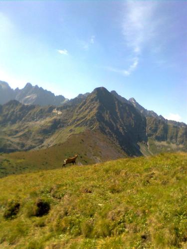 Paisatge natural a prop del lodge