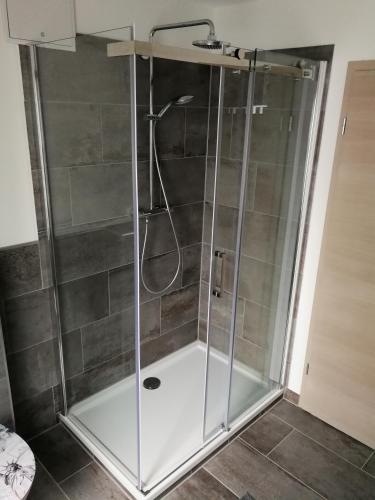 a shower with a glass enclosure in a bathroom at Schwarzwaldhaus Markus in Freudenstadt