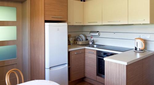 een keuken met een witte koelkast en een wastafel bij dom do wynajecia oaza in Leszyce