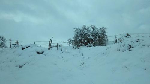 a snow covered field with a fence and trees at El Torreón I in Hoyos del Espino