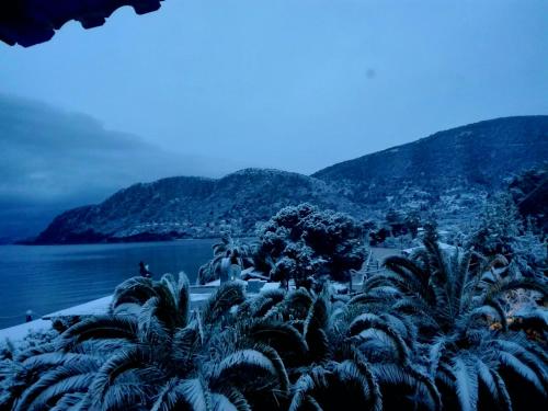 a group of palm trees on a beach near the water at marilena in Néa Epídhavros