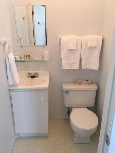 Bilik mandi di Auberge Valcartier