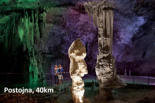 a group of people standing in front of a cave at Holiday Home Forest Peace, Lavrovec in Hlevni Vrh