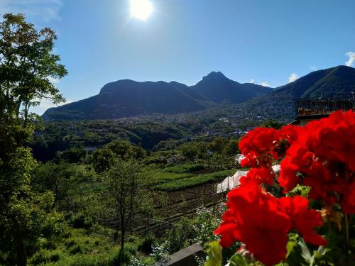 Galería fotográfica de Jerula B&B en Agerola