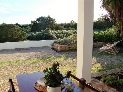 einen Tisch mit einer Topfpflanze auf einer Terrasse in der Unterkunft Apartamentos Laura Playa de Migjorn in Playa Migjorn