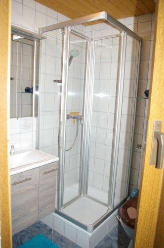 prysznic ze szklaną obudową w łazience w obiekcie Thalerhof w mieście Roppen