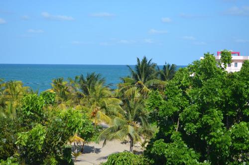 a beach with trees and the ocean in the background at KhalKob's Estate in Placencia