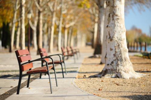 a row of park benches sitting next to a tree at Balkon Apartmanház Panzió in Balatonfüred