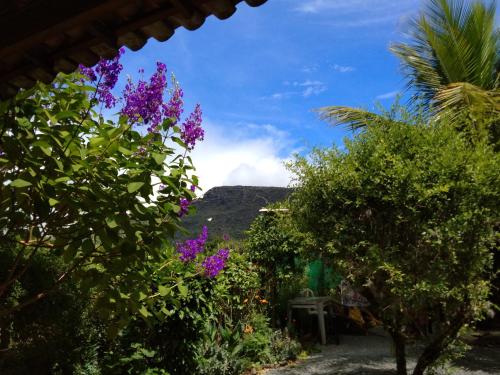 a view of the mountains from a garden with purple flowers at Chalés Savi in Vale do Capao