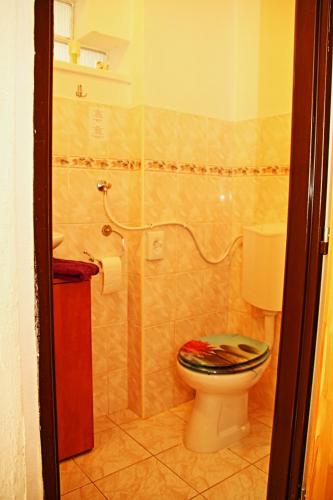 a bathroom with a toilet and a shower at Chalupa Boskovice in Boskovice