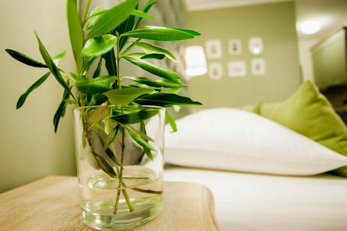 a glass vase with a plant sitting on a table at Charisma Boutique Hotel in Parga
