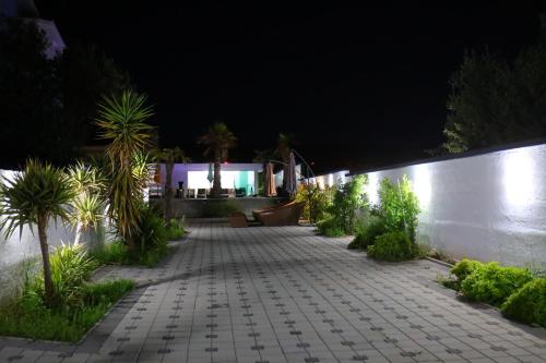 a walkway at night with palm trees and plants at Boutique Apartments Ad Astra in Bibinje