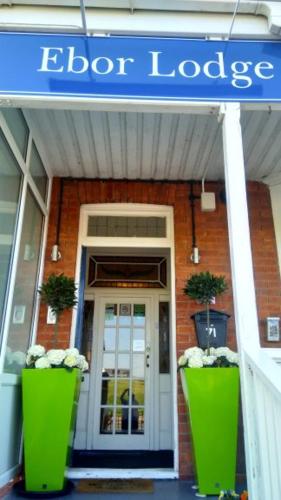 a store with two greeniaries in front of a building at Ebor Lodge in Eastbourne