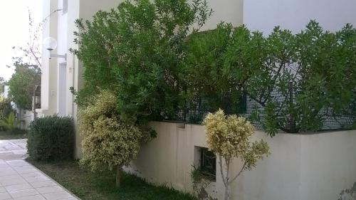 Κήπος έξω από το Happy House Ennasr