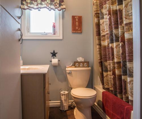 a bathroom with a toilet and a sink and a window at Mama`s By The Sea B&B in Clark's Harbour